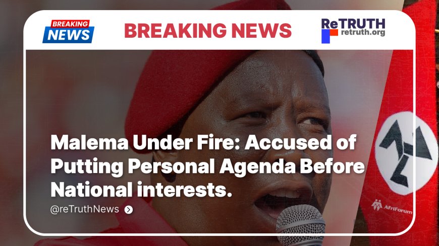 Malema Under Fire: Accused of Putting Personal Agenda Before National interests.